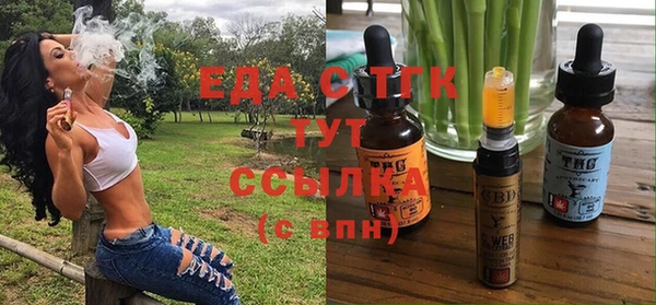 индика Касимов