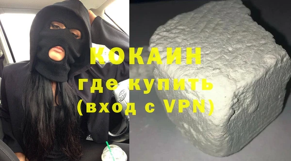 индика Касимов