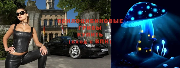 соль ск Киреевск