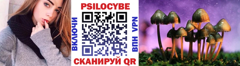 закладка  Кириллов  Псилоцибиновые грибы Psilocybe 